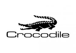 Crocordile